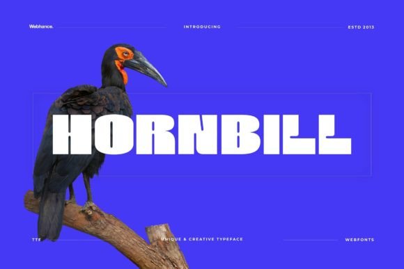 Enhance Your Web Design with Hornbill Font